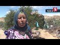 كارثة القوارص واقع مأسوي بمنطقة جلمة سيدي بوزيد كارثة القوارص واقع مأسوي بمنطقة جلمة سيدي بوزيد