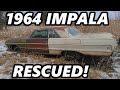 FORGOTTEN 1964 Impala RESCUED From a Field! Sitting Since the '90s!