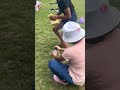 juegos