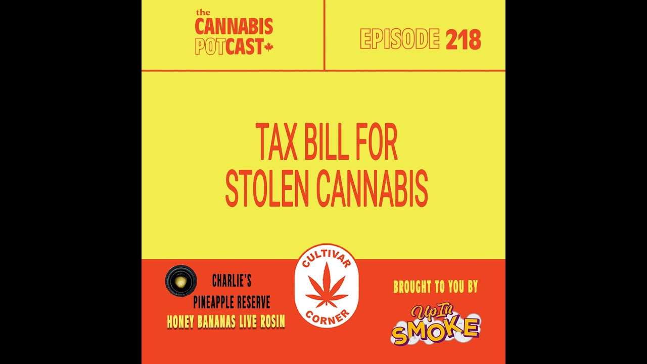 Tax bill for stolen cannabis