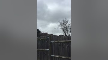 UFO captured on camera 👽#mrflirkins #aliens  #shorts  #shedio #animation