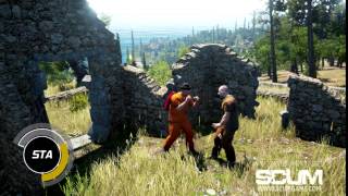 SCUM - Stamina Update 2 [Pre-Alpha]
