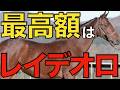 レイデオロ産駒がまさかの歴代最高額！これは再評価の流れになるのか？