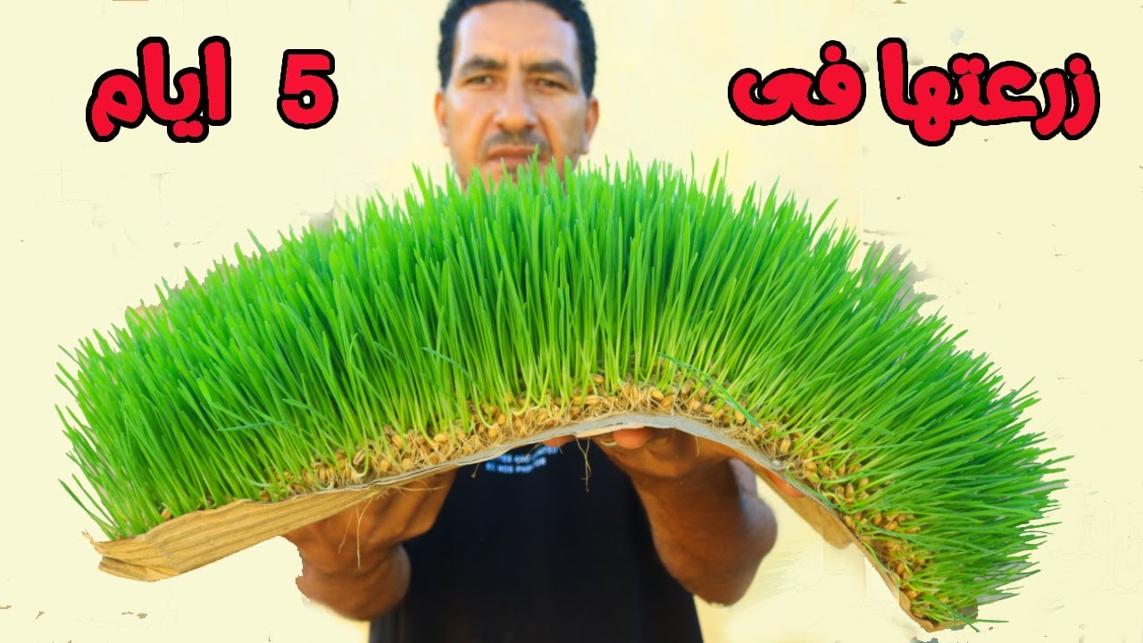 Kisɛ kabakoma minnu bɛ turu tile 5 kɔnɔ k’a sɔrɔ bɔgɔ walima bagaji tɛ u la