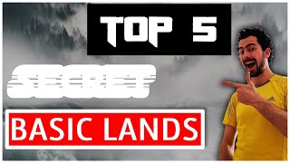 Famous Top 5 Basic Lands in MTG | Zendicards in Magic the Gathering Net Worth
