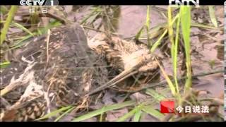 今日说法 《今日说法》 20121231 记忆2012 News