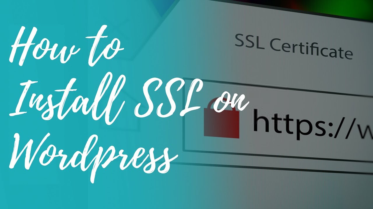 Wordpress ssl