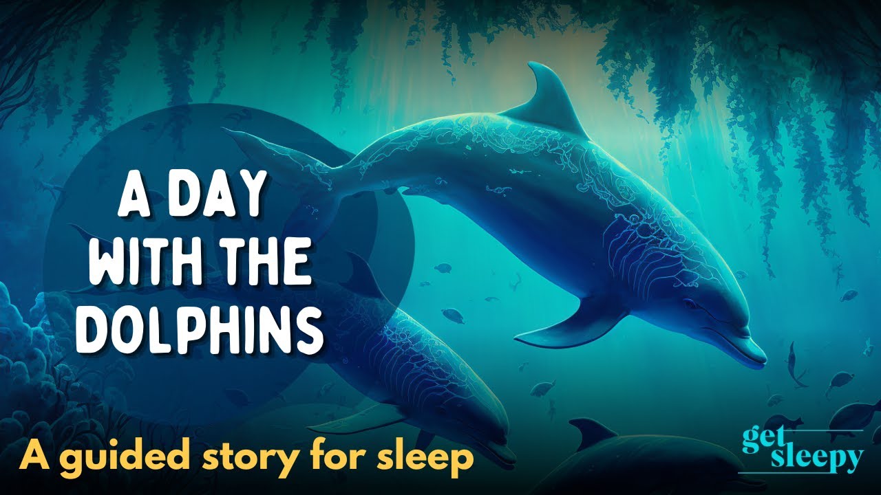 Засыпайте быстро с сказкой на ночь | День с дельфинами | Успокойтесь с сказкой на ночь