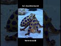 Ocean’s deadliest killers