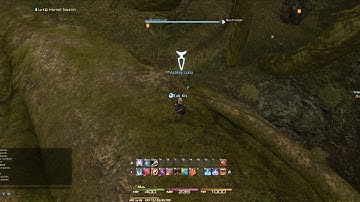 Final Fantasy XIV Bot in trouble