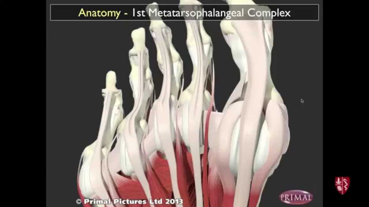 osteomed az artrózis kezelésében hogyan lehet enyhíteni az ízületi gyulladásokat