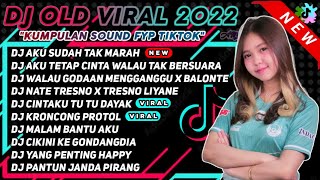 DJ TIKTOK TERBARU 2023 - DJ AKU SUDAH TAK MARAH WALAU MASIH TERINGAT - SATU SATU IDGITAF REMIX VIRAL