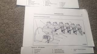 DT466E Fuel System