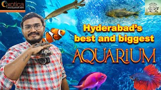 Exotica aquarium| largest aquarium store in Hyderabad | biggest aquarium store|telugu vlogs|Rarefish