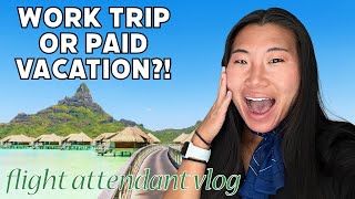International Flight Attendant Vlog: WORK TRIP OR PAID VACATION? 🌊🌴🌅
