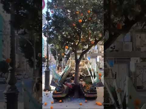 Cool Machines: Orange