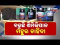 Similipal Organic Honey Gains Massive Demand, Tribal Families Earning Big
