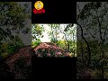 Amarkanthak Shorts 03 | Watch full Video #bengalitravelvlog #motivation #ekmusafir