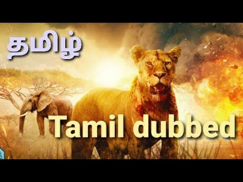 Latest tamil dubbed movies 2021 | action | thriller | subscribe for more movies #tamildubbed
