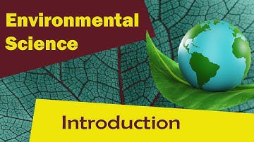 Ecosystem | Introduction To An Ecosystem | -  Environmental Science