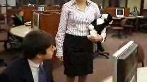 The Office Meets Ames