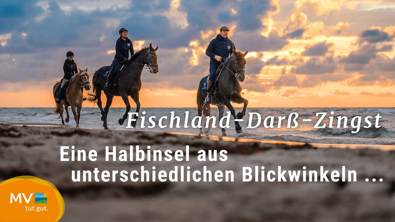 Fischland - Darß - Zingst |  Der wilde Weststrand und Natur pur am Darßer Ort | einfachnurreisen.de