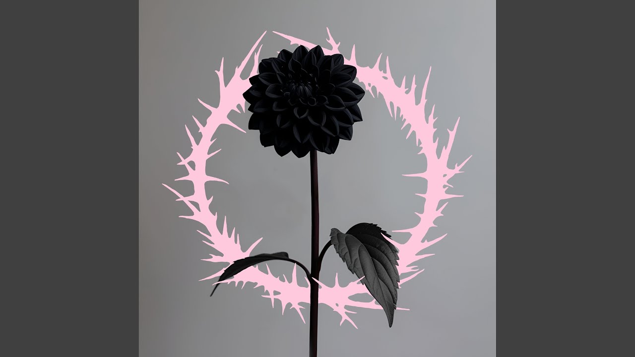 Watch thorn on YouTube Watch thorn on YouTube