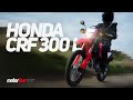 HONDA CRF 300 L : La parfaite globe-trotteuse ? 🌍 I MOTORLIVE