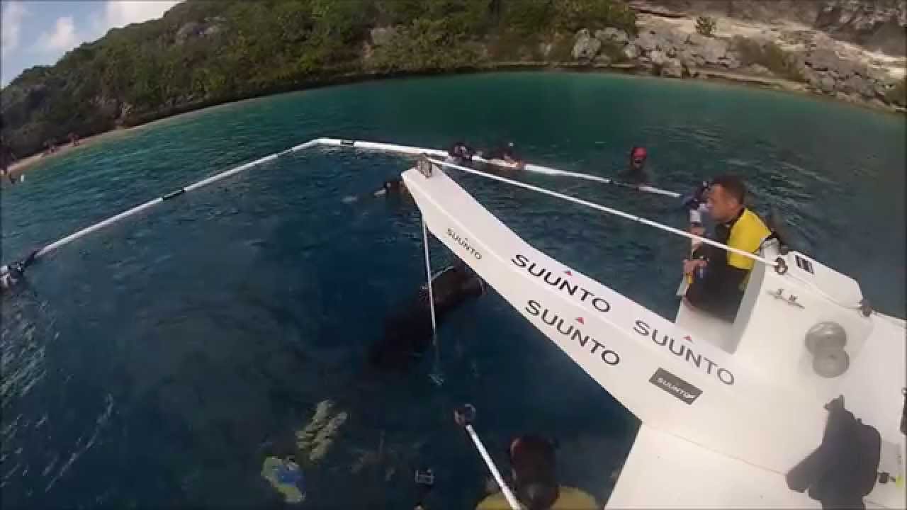 100m Record de apnea Mexicano AIDA en peso constante CWT Alejandro Lemus 2014