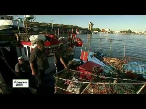 Vidéo: Guide Des Internautes De La Côte De L’Algarve, Au Portugal - Réseau Matador