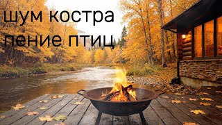 Fire & Birdsong for Deep Sleep | Огонь и Пение Птиц для Глубокого Сна (1 Hour)