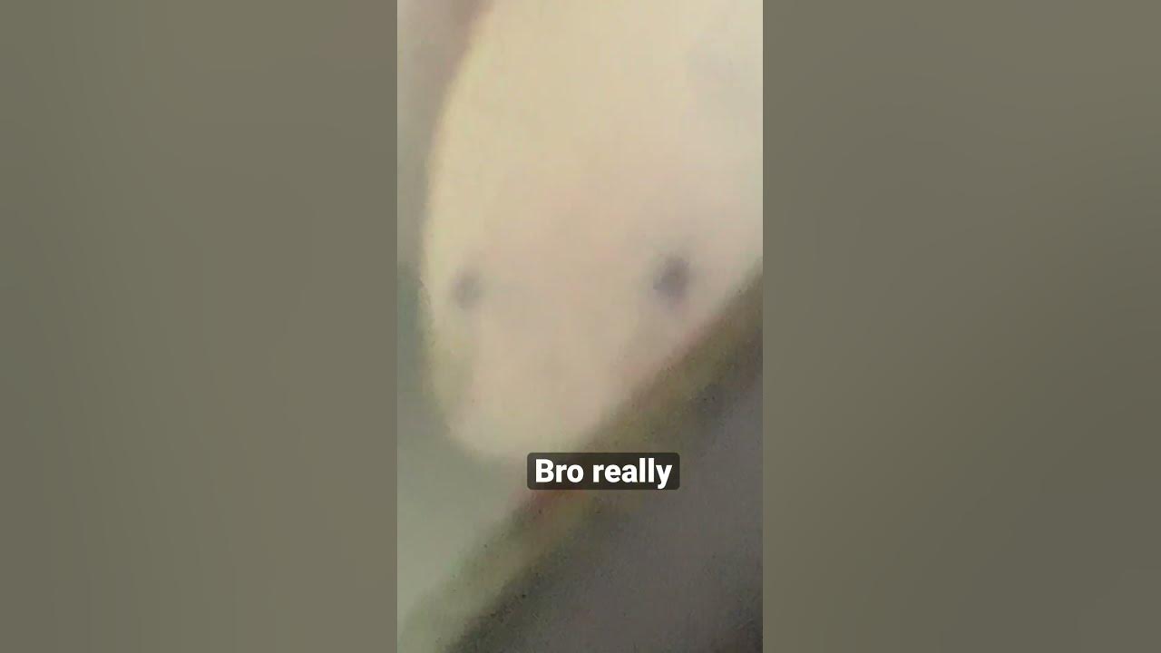 Bro did you just talk during silent reading meme youtube
