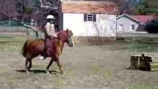 Flicka Bareback Jumping