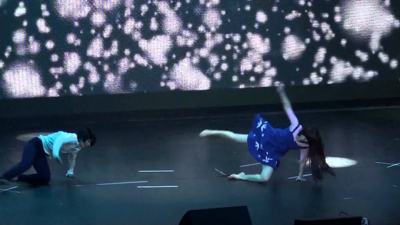 Воронеж 2015 Волчьи дети Амэ и Юки