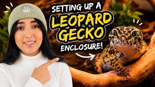 My Sand Boa Went Missing... LETS TURN IT INTO THE PERFECT LEOPARD GECKO ENCLOSURE !!!
