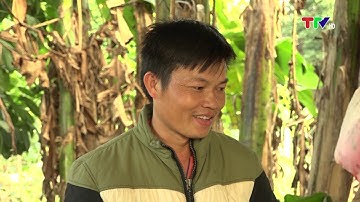 SƠN DƯƠNG VỚI CÔNG TÁC GIẢM NGHÈO