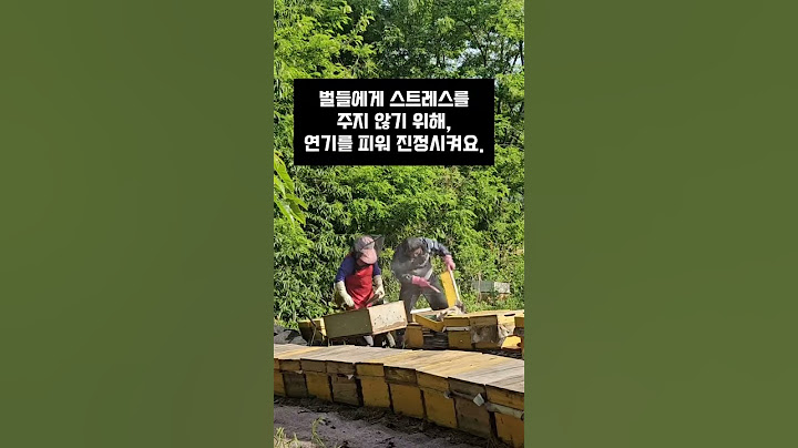 🍯 진짜 꿀, 벌에게 허락받고 꺼냅니다.🍯 #아카시아꿀 #bee #천연꿀 #양봉 #꿀이유