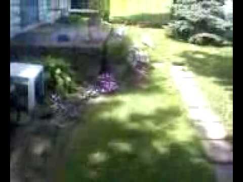 scaring cat with an air horn YouTube scaring cat with an air horn YouTube