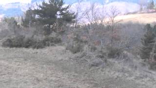 WP 20150320 14 25 11 Pro