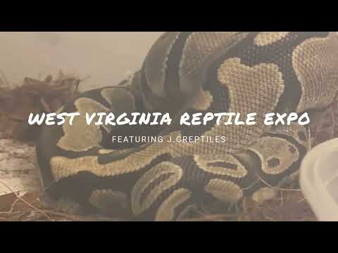 Reptile Expo Virginia 2023