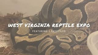 Largest Reptile expo in West Virginia. Getting our first breeding pair of crested geckos