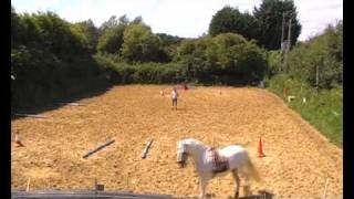 Loose schooling - Spanish PRE stallion with ground poles.wmv