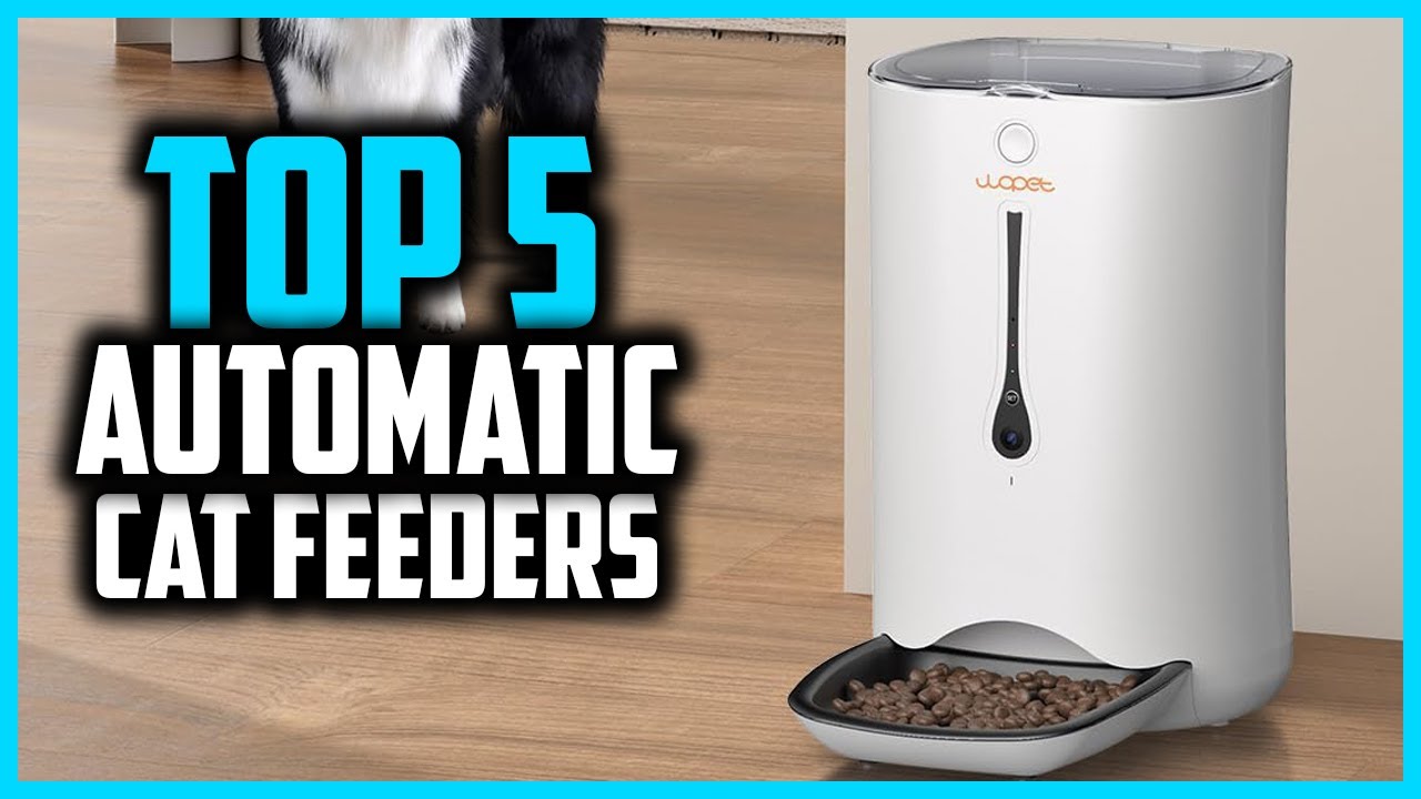 Top 5 Best Automatic Cat Feeders in 2025 - YouTube