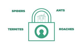 Protection Promise from Cingo