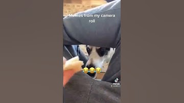 Random Memes From My Camera Roll  #like#subscribe