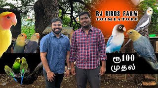 ரூ 100 முதல் Rj Birds Farm Biggest Birds Farm Lowest Price Dery Available