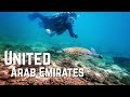 Scuba Diving in Fujairah - UAE | FIRST FUN DIVE