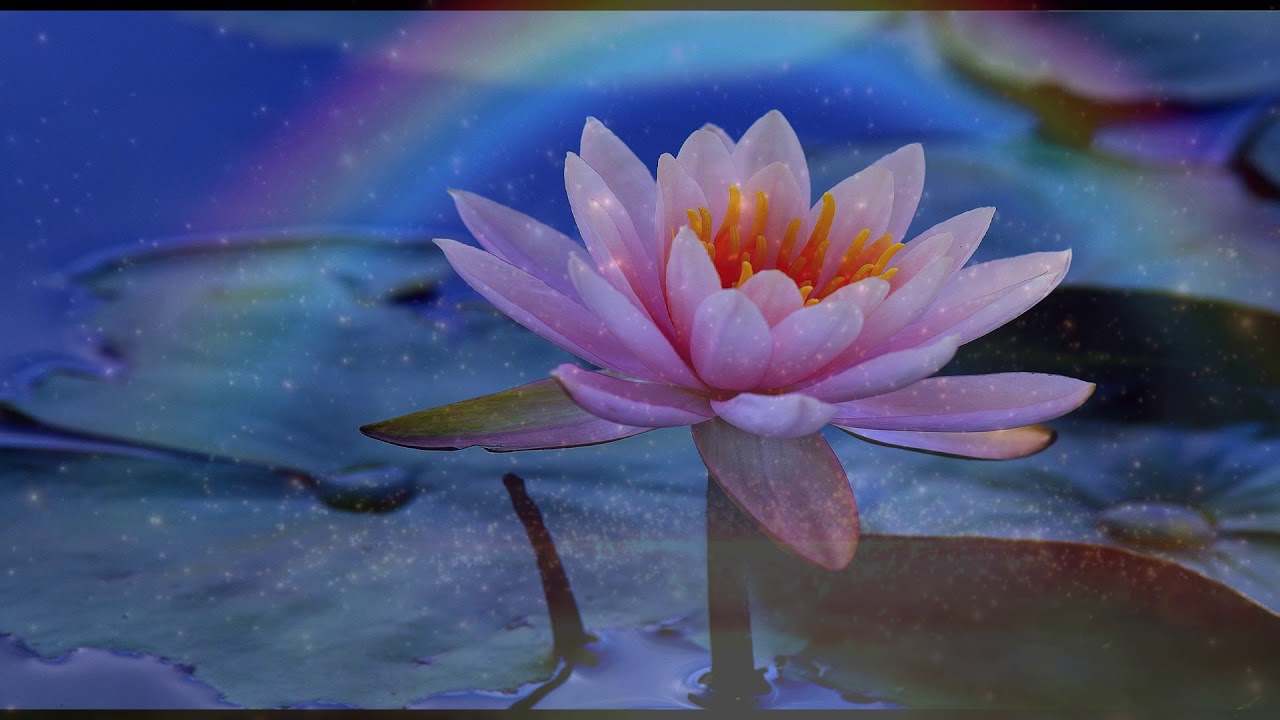 Quyển Nhì | KỆ DÂN của Người Khùng | ĐGV: Trần-Kim-Lợi