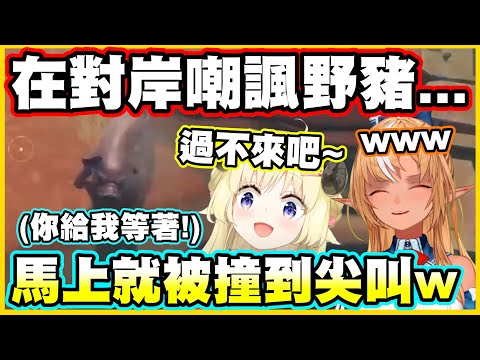 在對岸嘲諷野豬...然後馬上就被野豬撞到尖叫w【角巻わため】【角卷綿芽】【不知火フレア】【不知火芙蕾雅】【Vtuber中文翻譯】