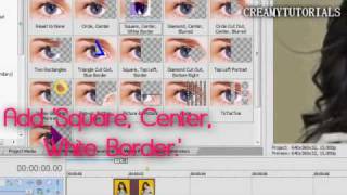 Sony Vegas Tutorial / Effect 4